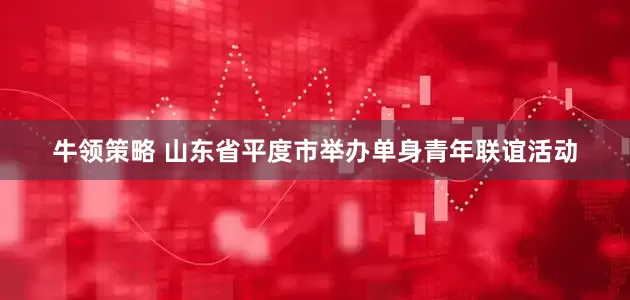 牛领策略 山东省平度市举办单身青年联谊活动