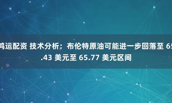 鸿运配资 技术分析：布伦特原油可能进一步回落至 65.43 美元至 65.77 美元区间