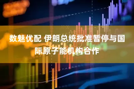 数魅优配 伊朗总统批准暂停与国际原子能机构合作