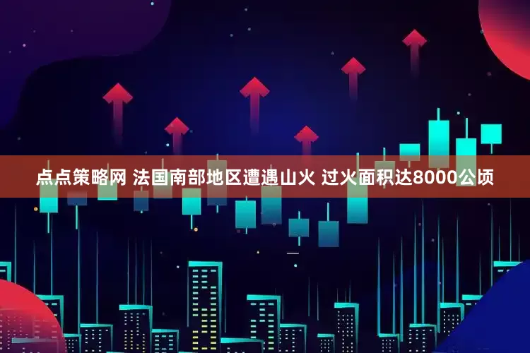 点点策略网 法国南部地区遭遇山火 过火面积达8000公顷