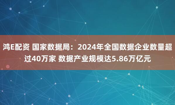 鸿E配资 国家数据局：2024年全国数据企业数量超过40万家 数据产业规模达5.86万亿元