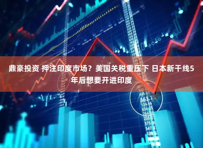 鼎豪投资 押注印度市场？美国关税重压下 日本新干线5年后想要开进印度