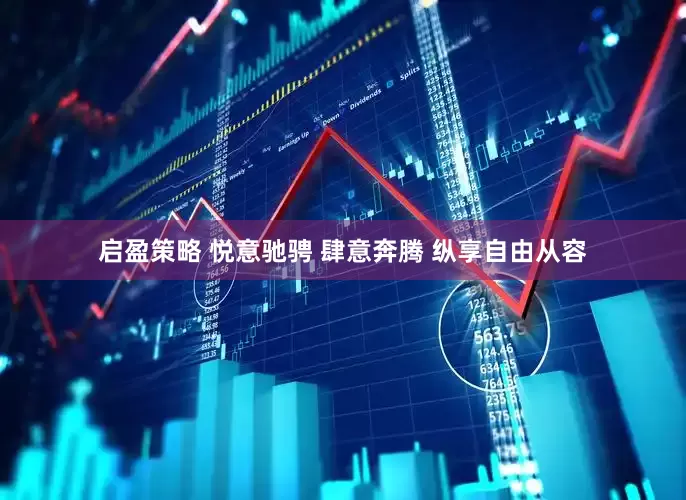 启盈策略 悦意驰骋 肆意奔腾 纵享自由从容